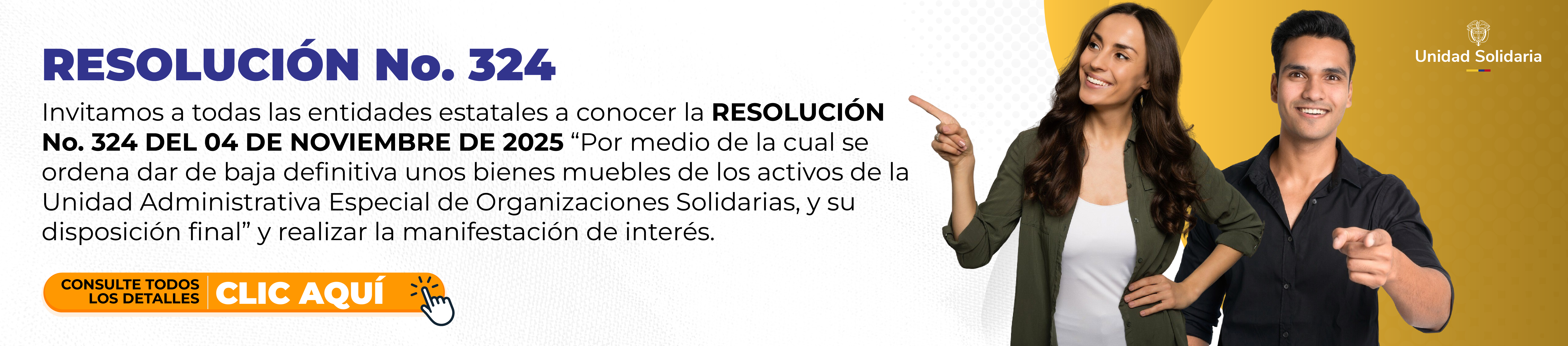 Resolución 324