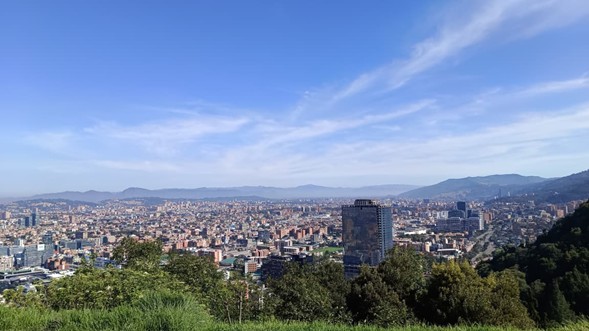 Día Cívico de la Paz con la Naturaleza: una pausa para reflexionar y cuidar la vida