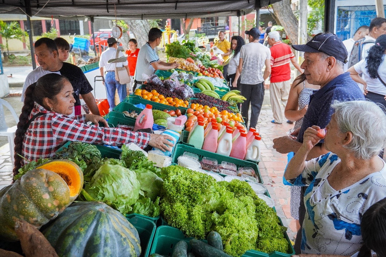 organizaciones de Cúcuta se unen para fortalecer la soberanía alimentaria organizaciones de Cúcuta se unen para fortalecer la soberanía alimentaria