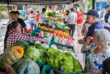 organizaciones de Cúcuta se unen para fortalecer la soberanía alimentaria