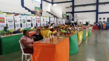 Organizaciones solidarias del Bajo Cauca antioqueño