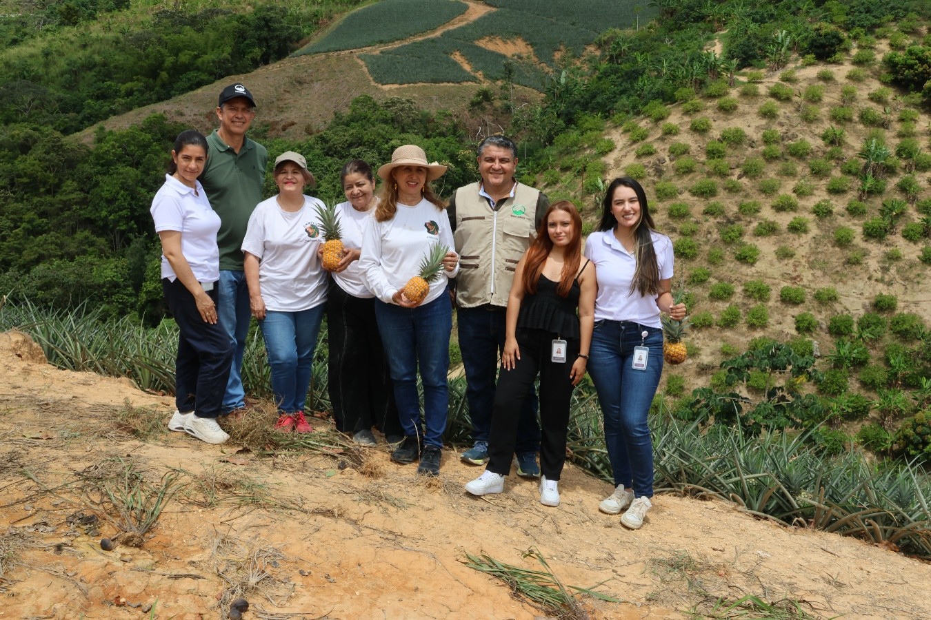 Cultivar lo social y lo alimentario desde la economía solidaria