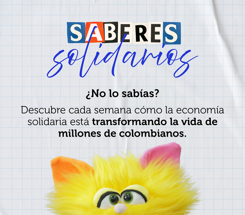 Aprendamos sobre economía solidaria con Soli