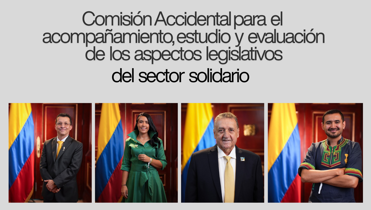 Comisión Accidental del Congreso