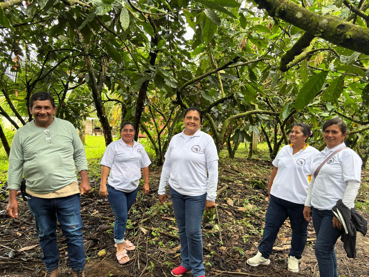 El cacao como punto de encuentro de la asociatividad