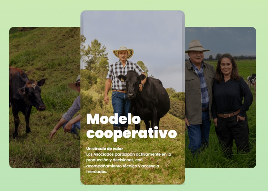 Colanta: crecer en colectivo