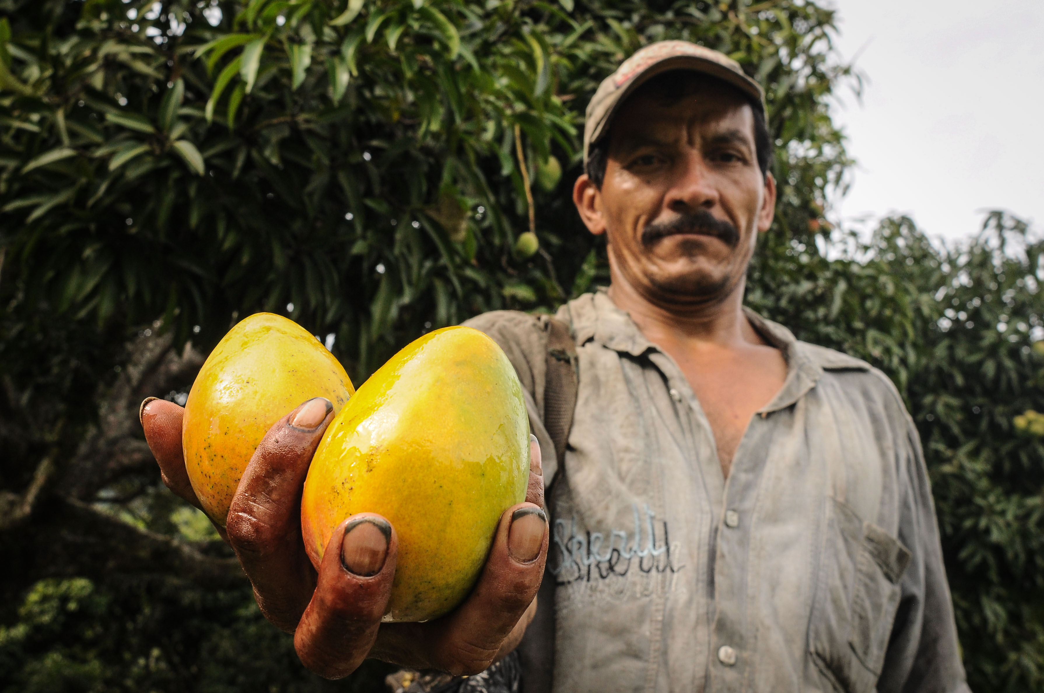 Campesino Día
