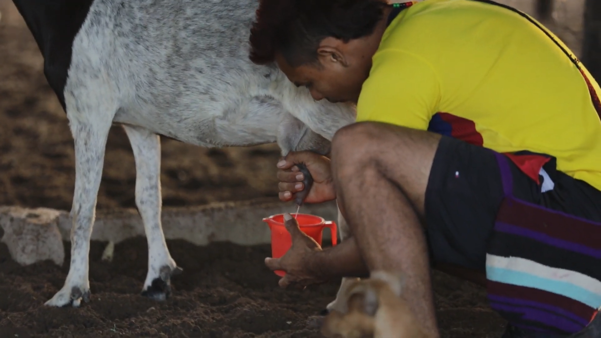 cabras 