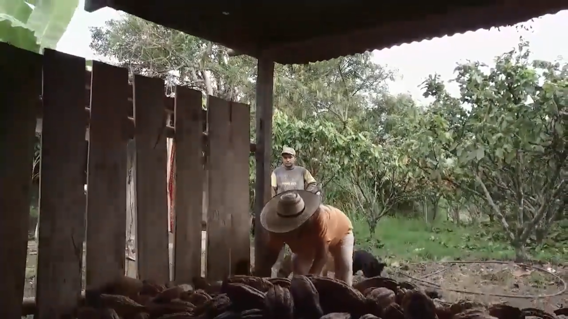 Huila 