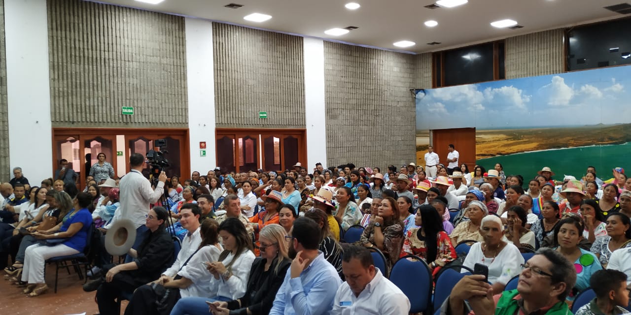 Articulación Vicepresidencia - Organizaciones Solidarias