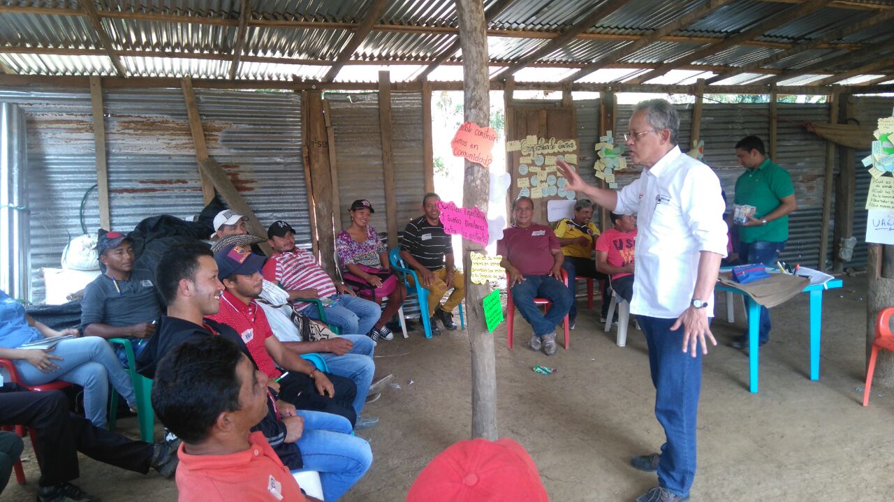 Desmovilizados Farc Curso