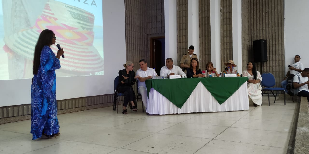 Articulación Vicepresidencia - Organizaciones Solidarias