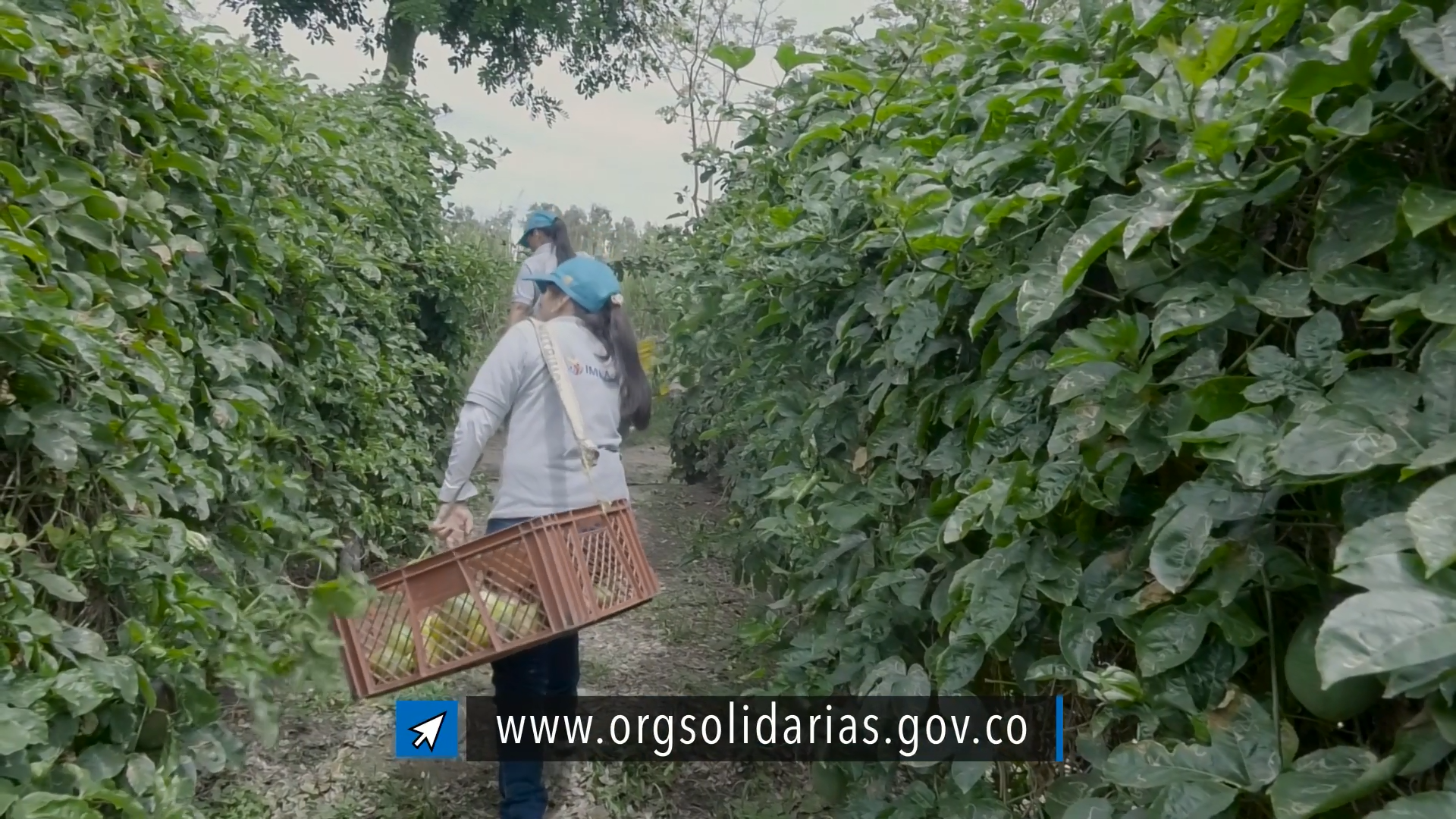 AGROFRUTAS SAN JOSÉ