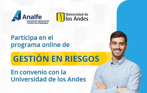 Online Programa