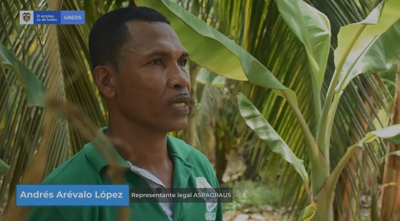 Asociación Pecuaria y Agrícola de Uveros San Juan de Urabá (Aspagraus)