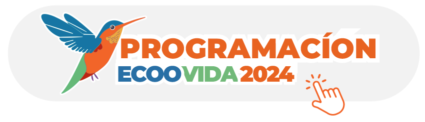 Programación
