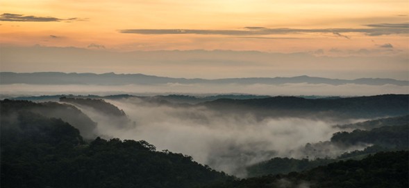 Tres decretos para garantizar la producción de alimentos y protección de tierra y zonas agrícolas en el Catatumbo Tres decretos para garantizar la producción de alimentos y protección de tierra y zonas agrícolas en el Catatumbo