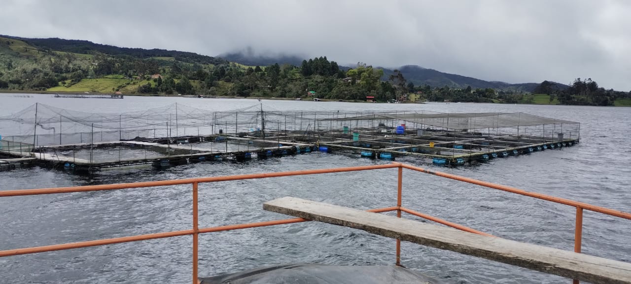 La asociatividad para el cultivo de trucha