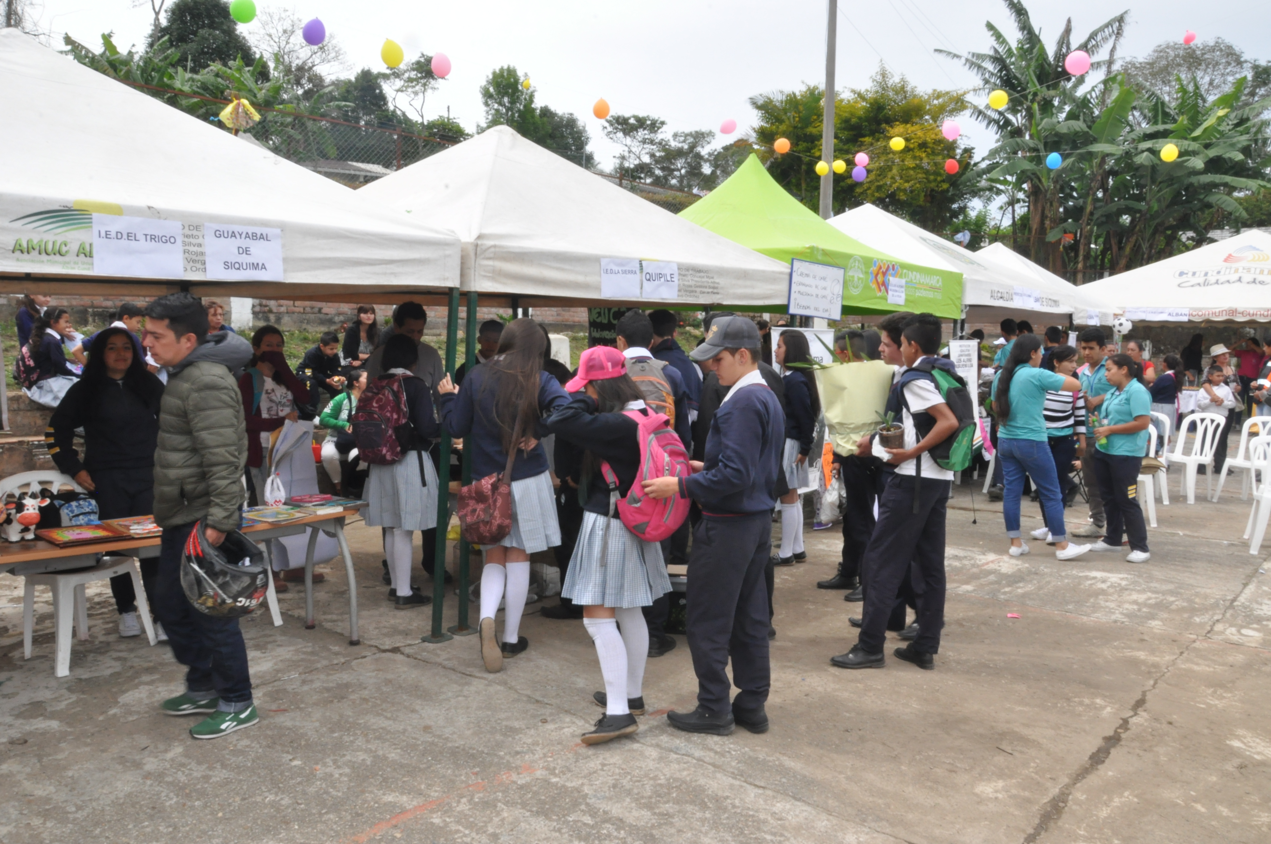 Feria del emprendimiento y el café