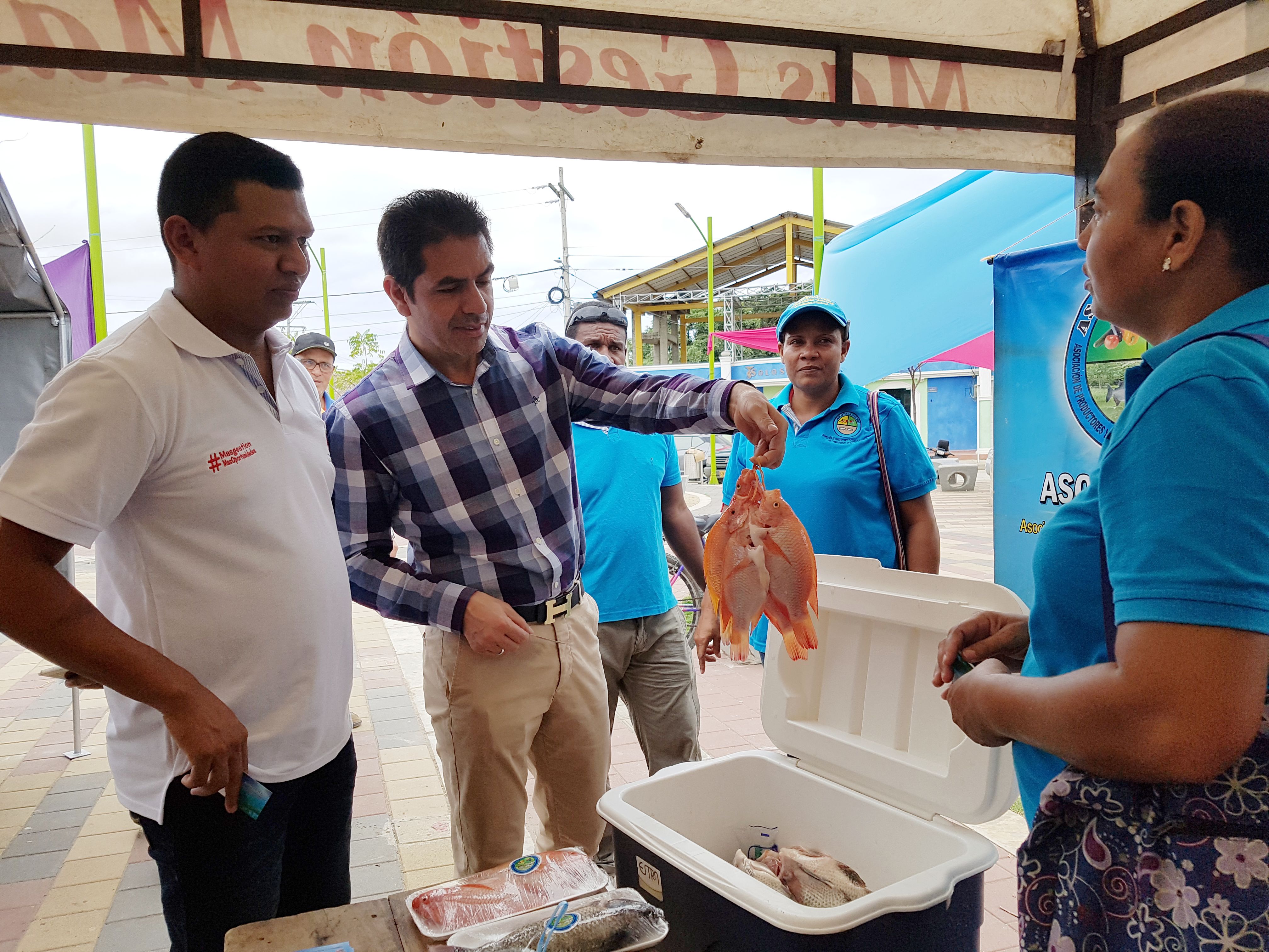 "La economía solidaria garantiza el trabajo en el campo colombiano" "La economía solidaria garantiza el trabajo en el campo colombiano"