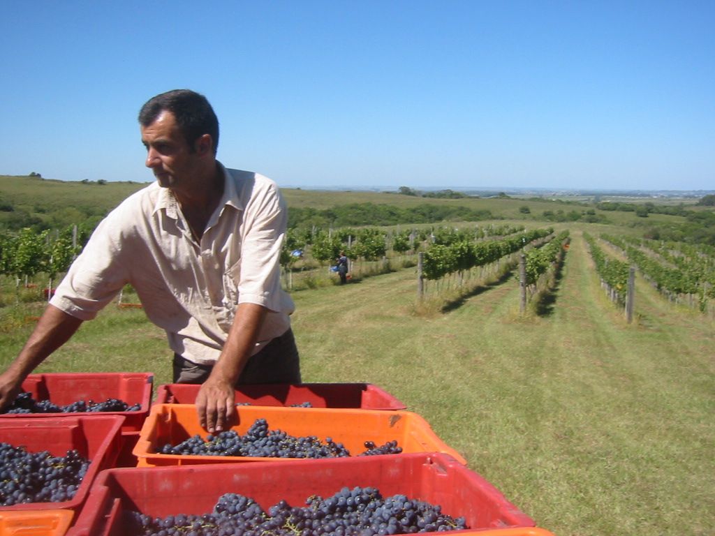 AGROSOLIDARIA AGROSOLIDARIA
