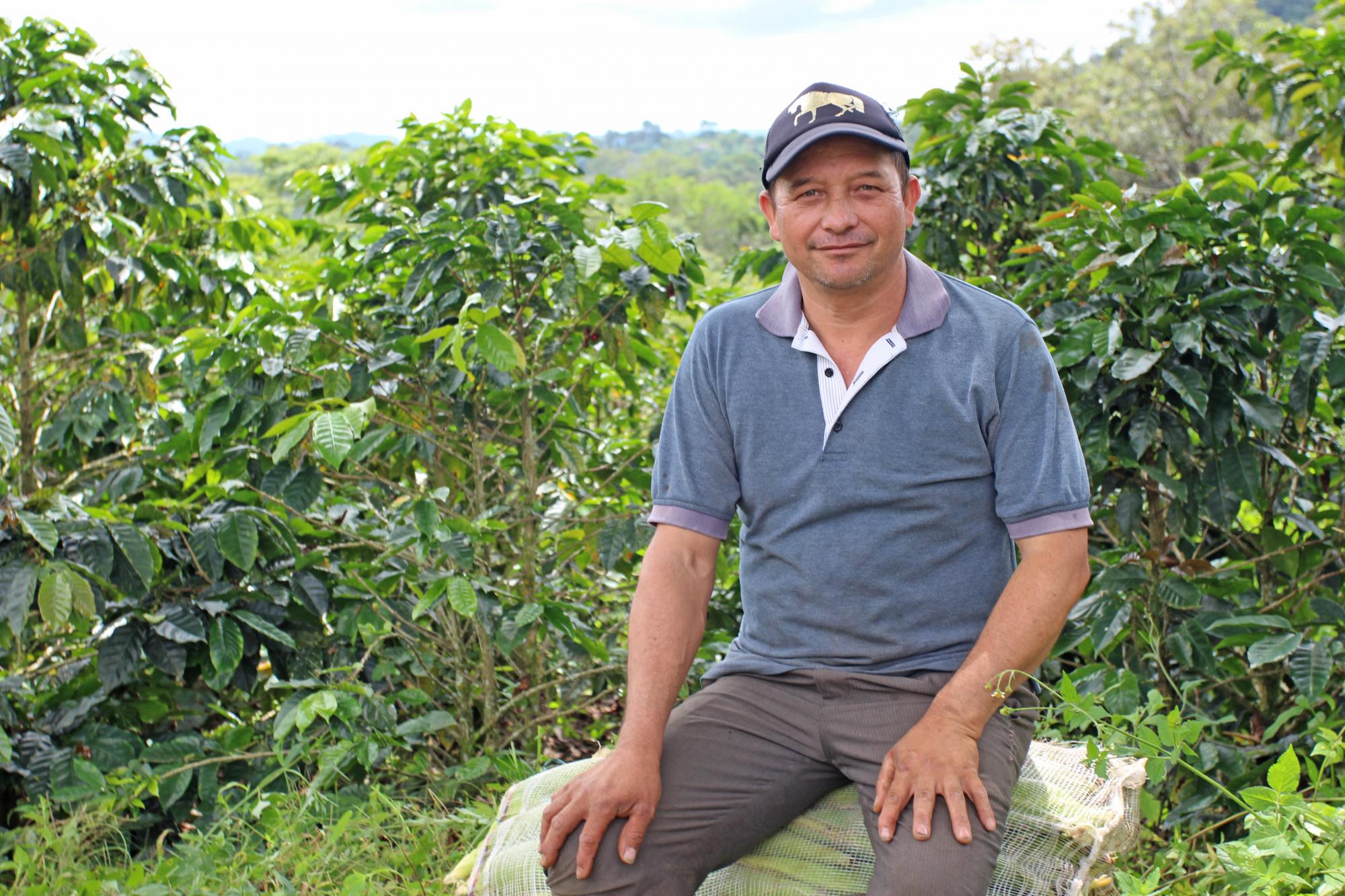 El camino hacia la paz en Tolima El camino hacia la paz en Tolima