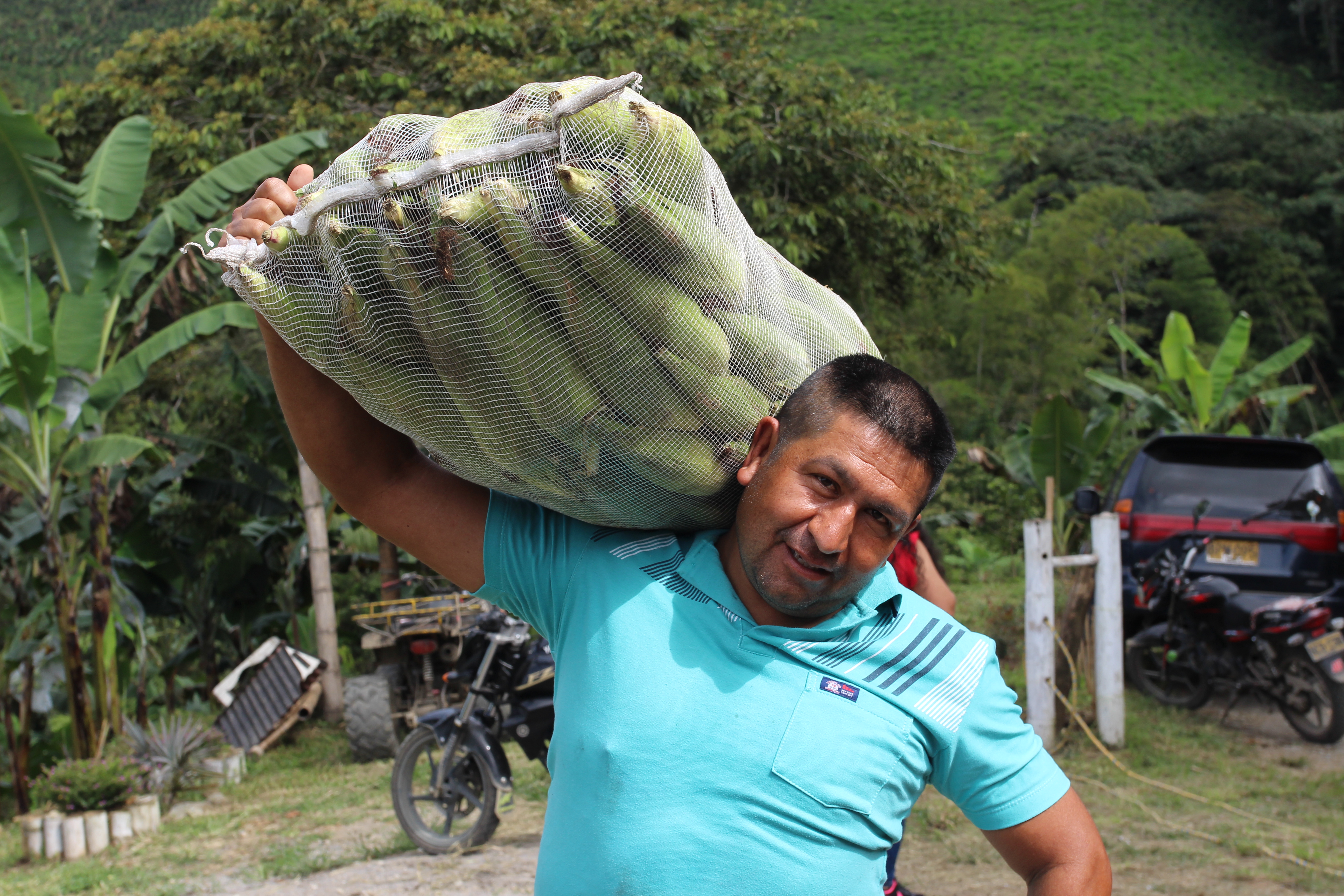 Mercados Campesinos Solidarios
