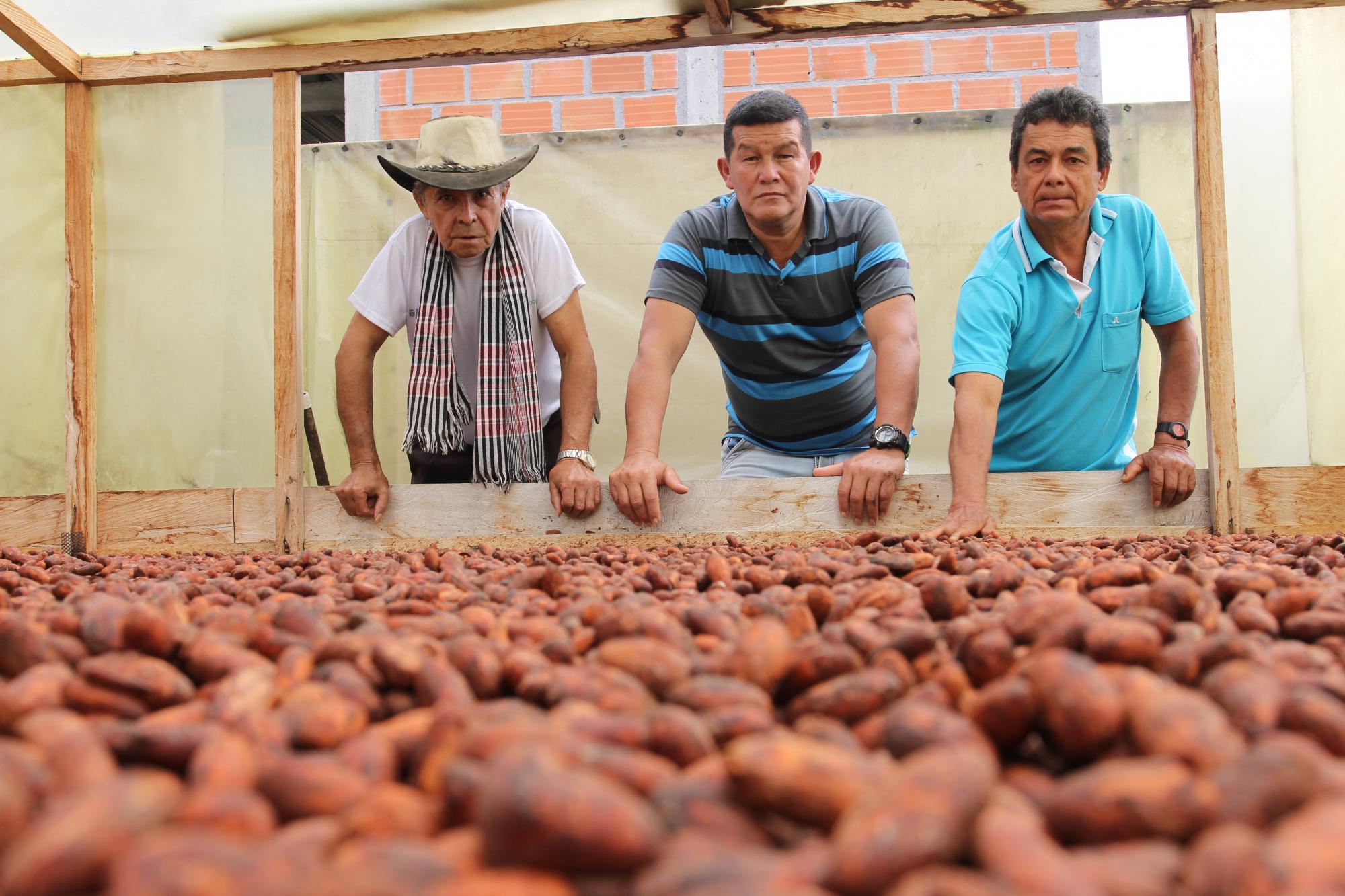 CACAO