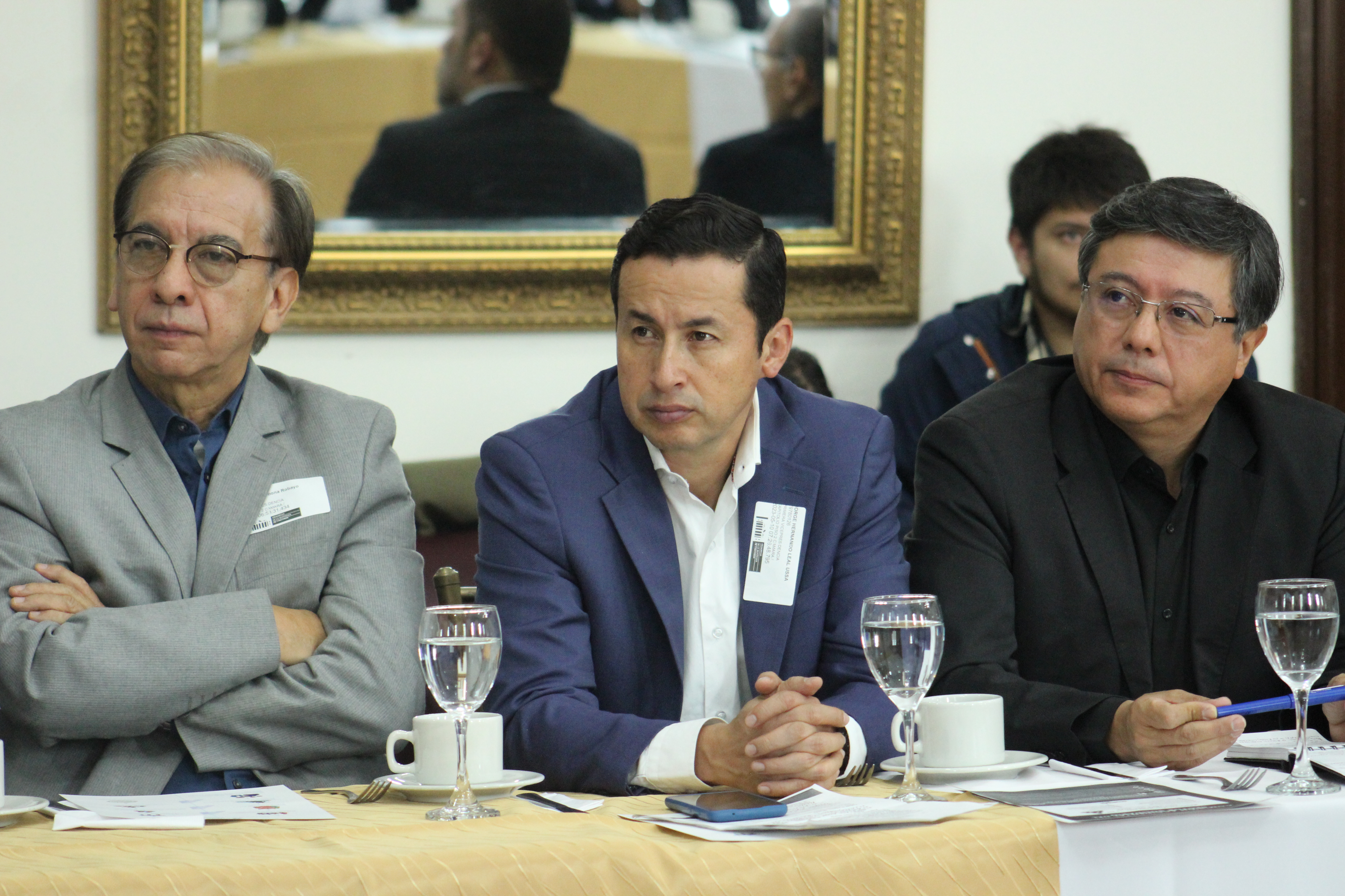 Comisión Accidental del Sector Solidario