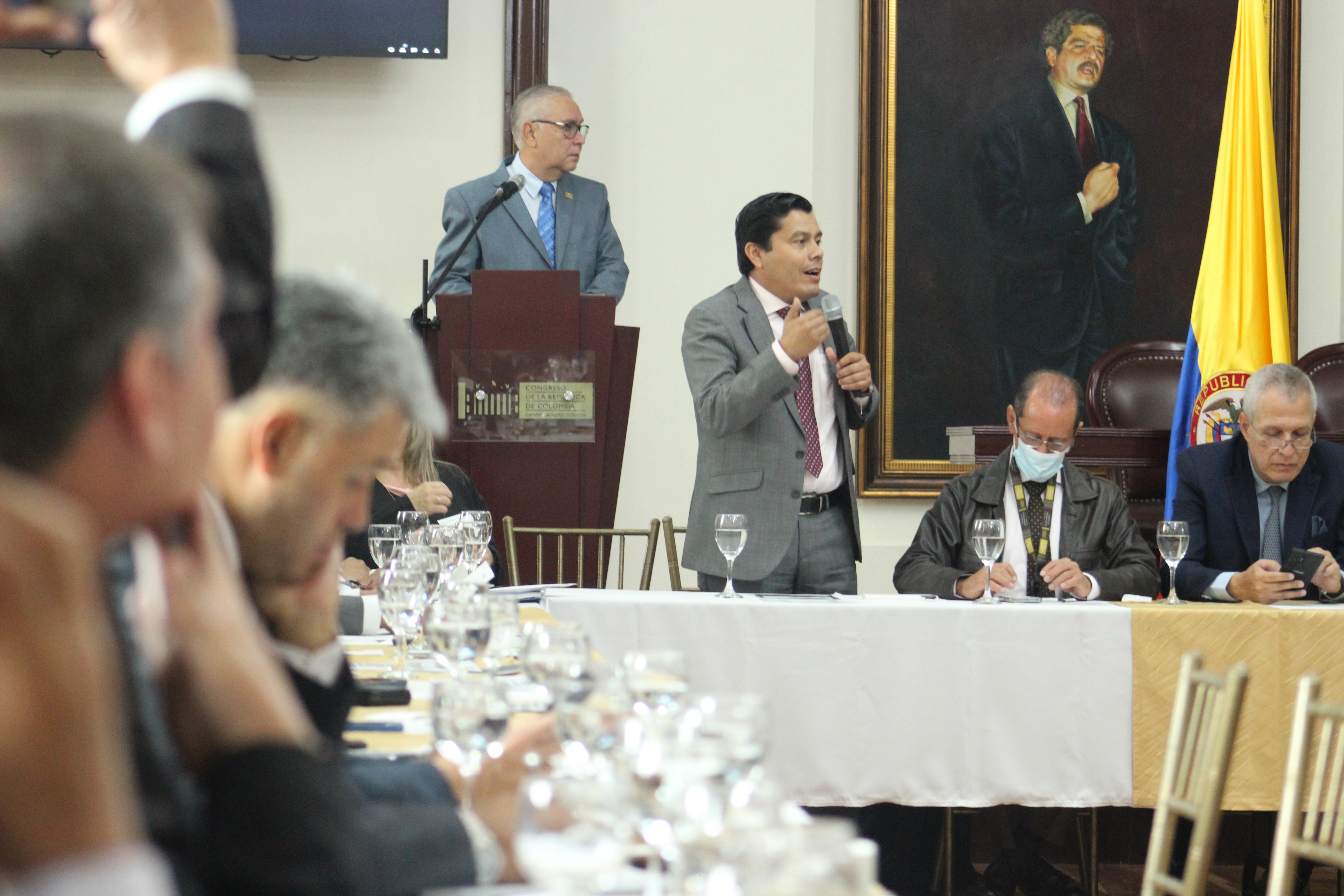 Comisión Accidental del Sector Solidario