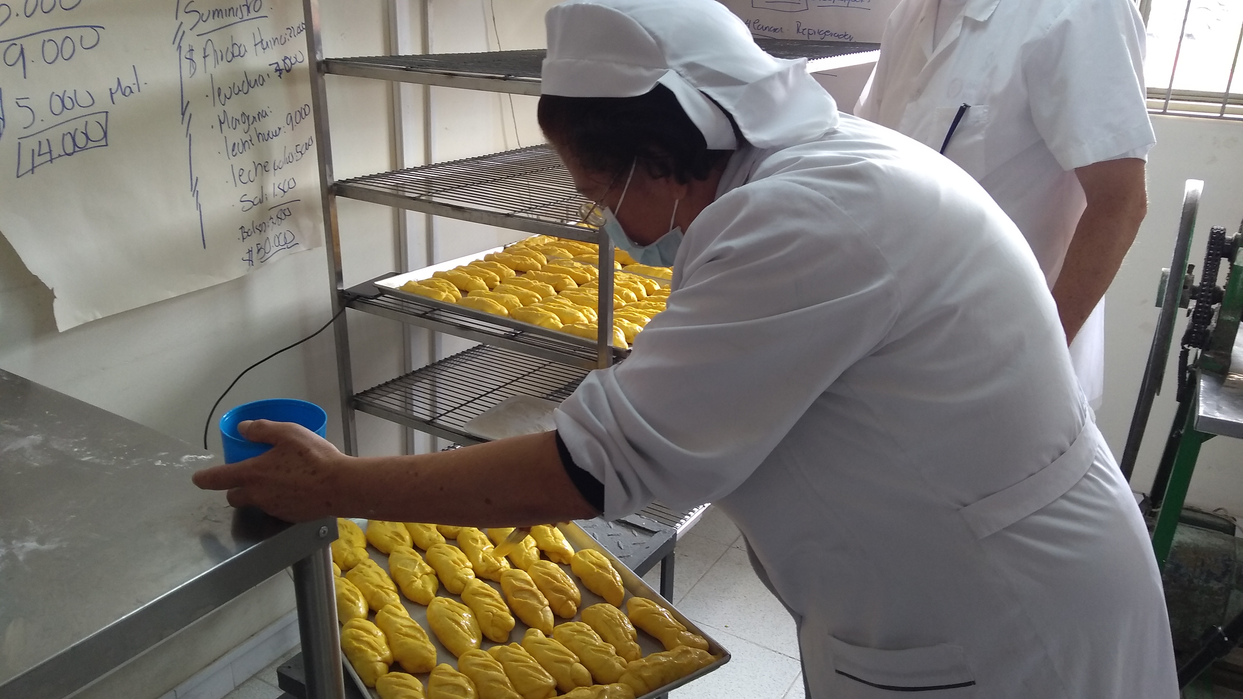 Desplazados Microempresarios del Pueblo de Colombia