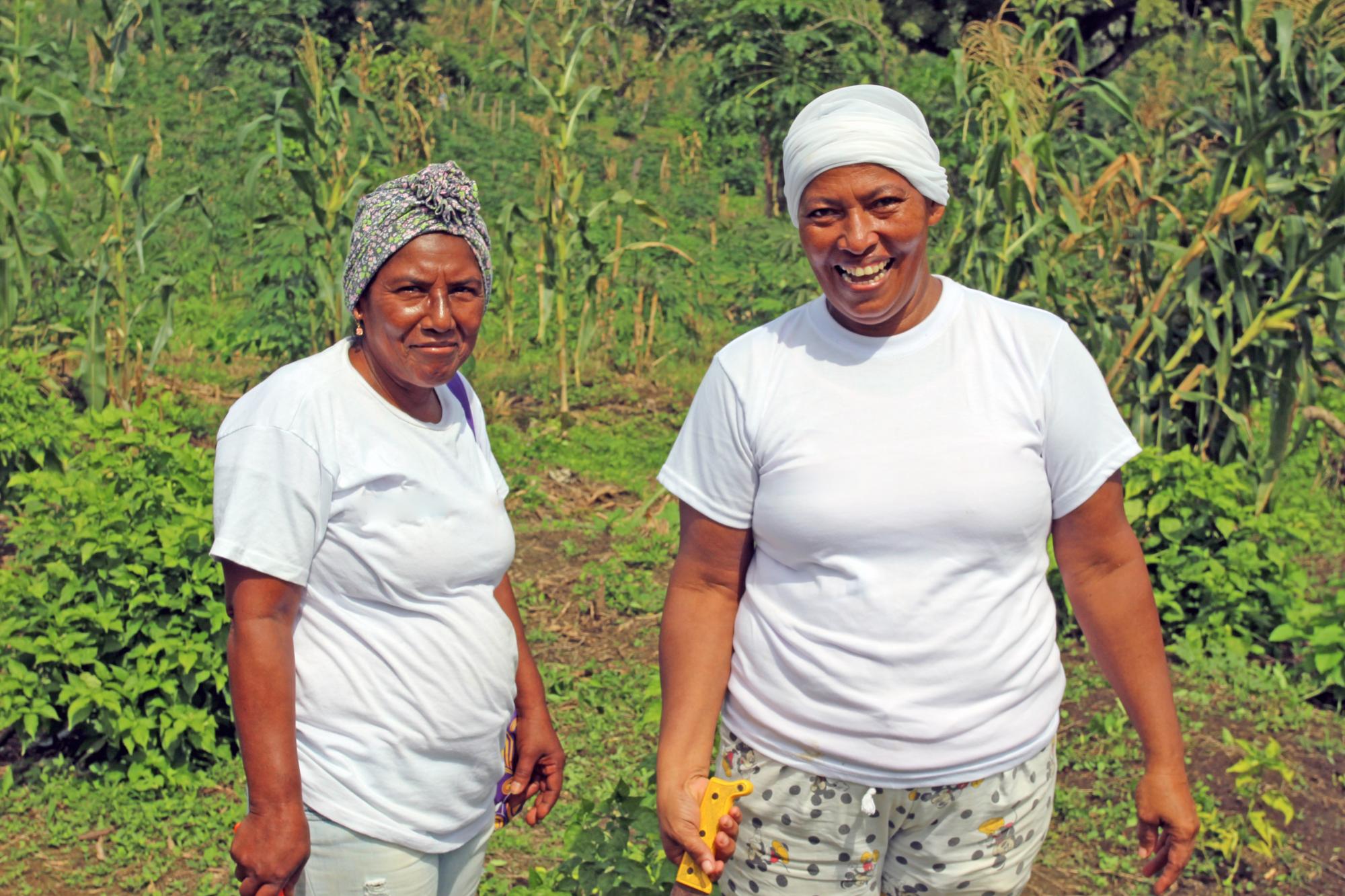 Economía solidaria para la construcción de Paz en Colombia Economía solidaria para la construcción de Paz en Colombia