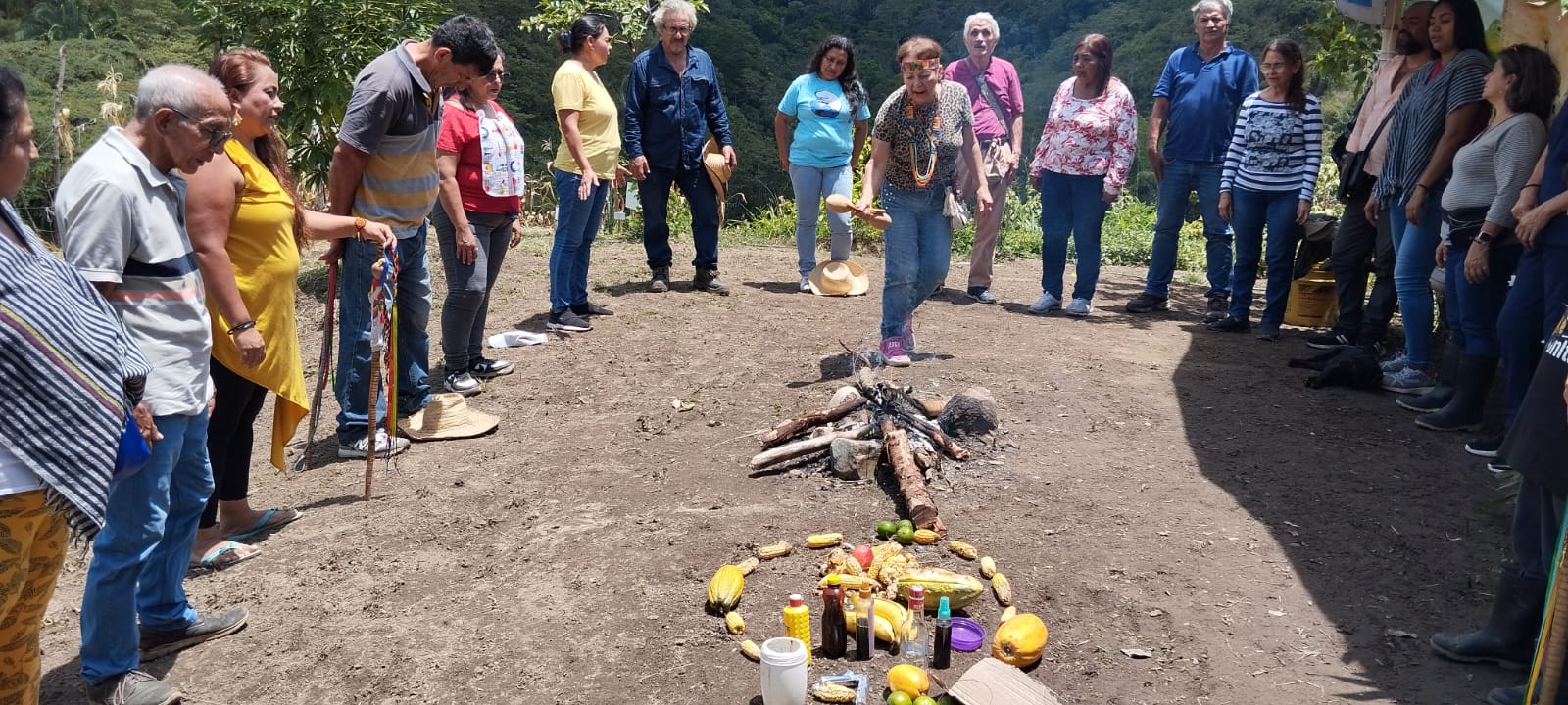 Comunidad indígena Cacique Dulima de Ibagué