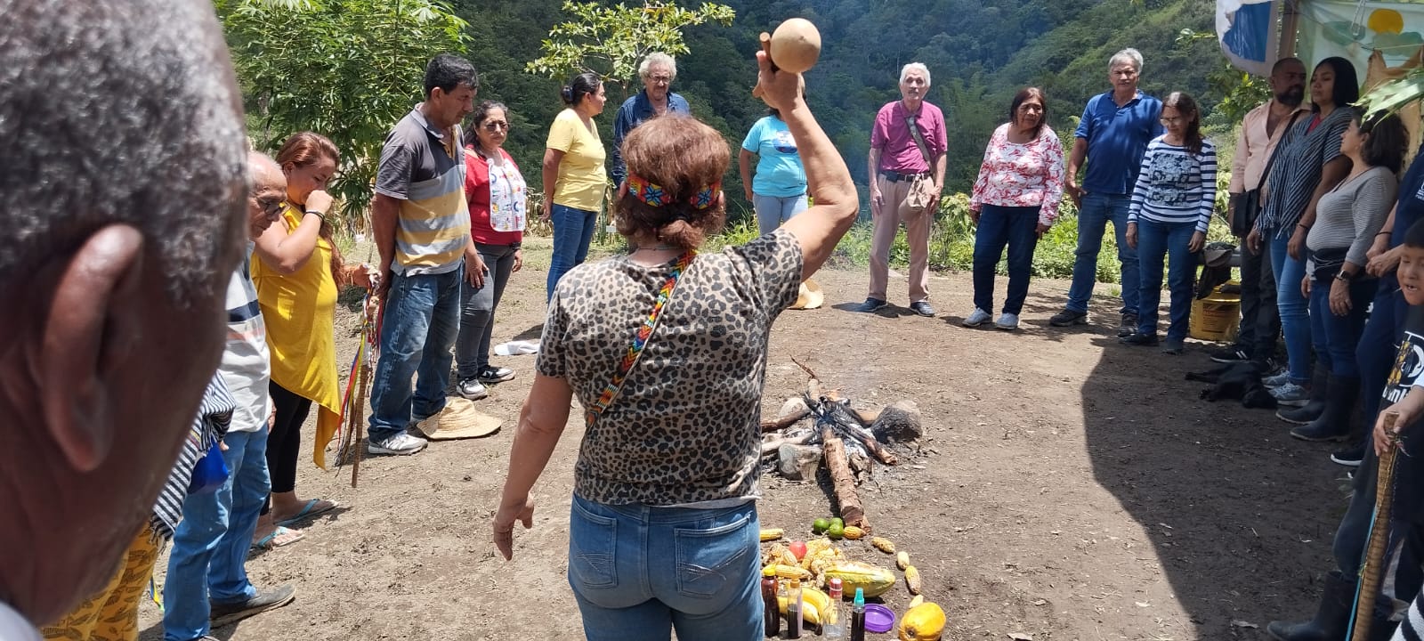 Comunidad indígena Cacique Dulima de Ibagué