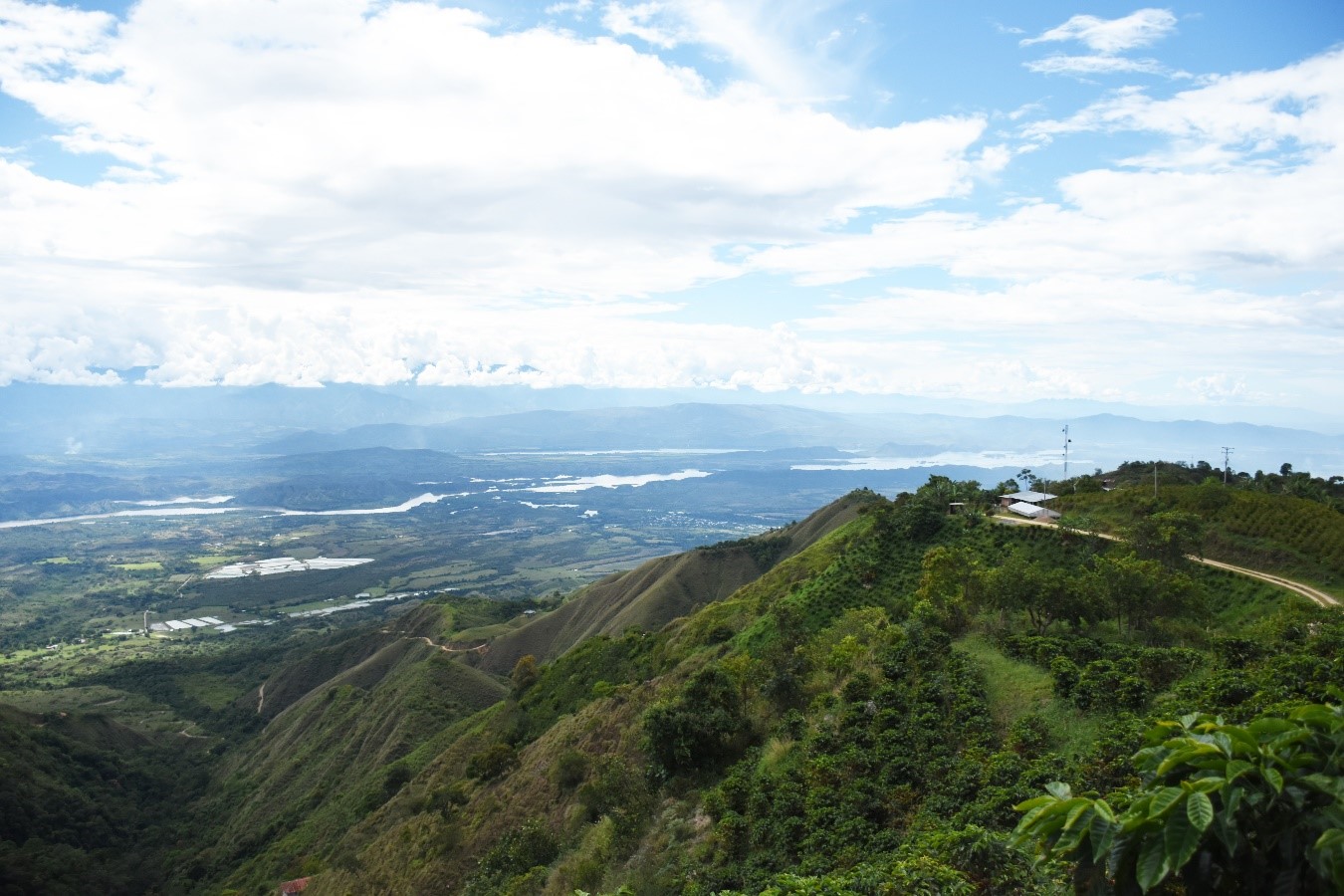 Los proyectos de economía solidaria que EPM fortalece en Valdivia y el Bajo Cauca Los proyectos de economía solidaria que EPM fortalece en Valdivia y el Bajo Cauca