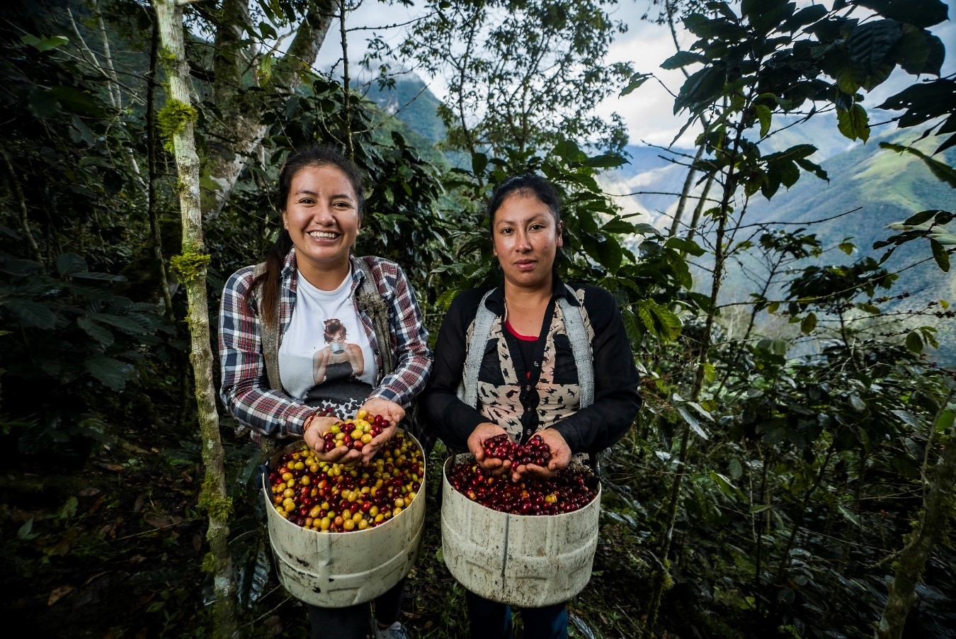 Los cinco programas que impulsan la productividad desde el Gobierno Nacional Los cinco programas que impulsan la productividad desde el Gobierno Nacional