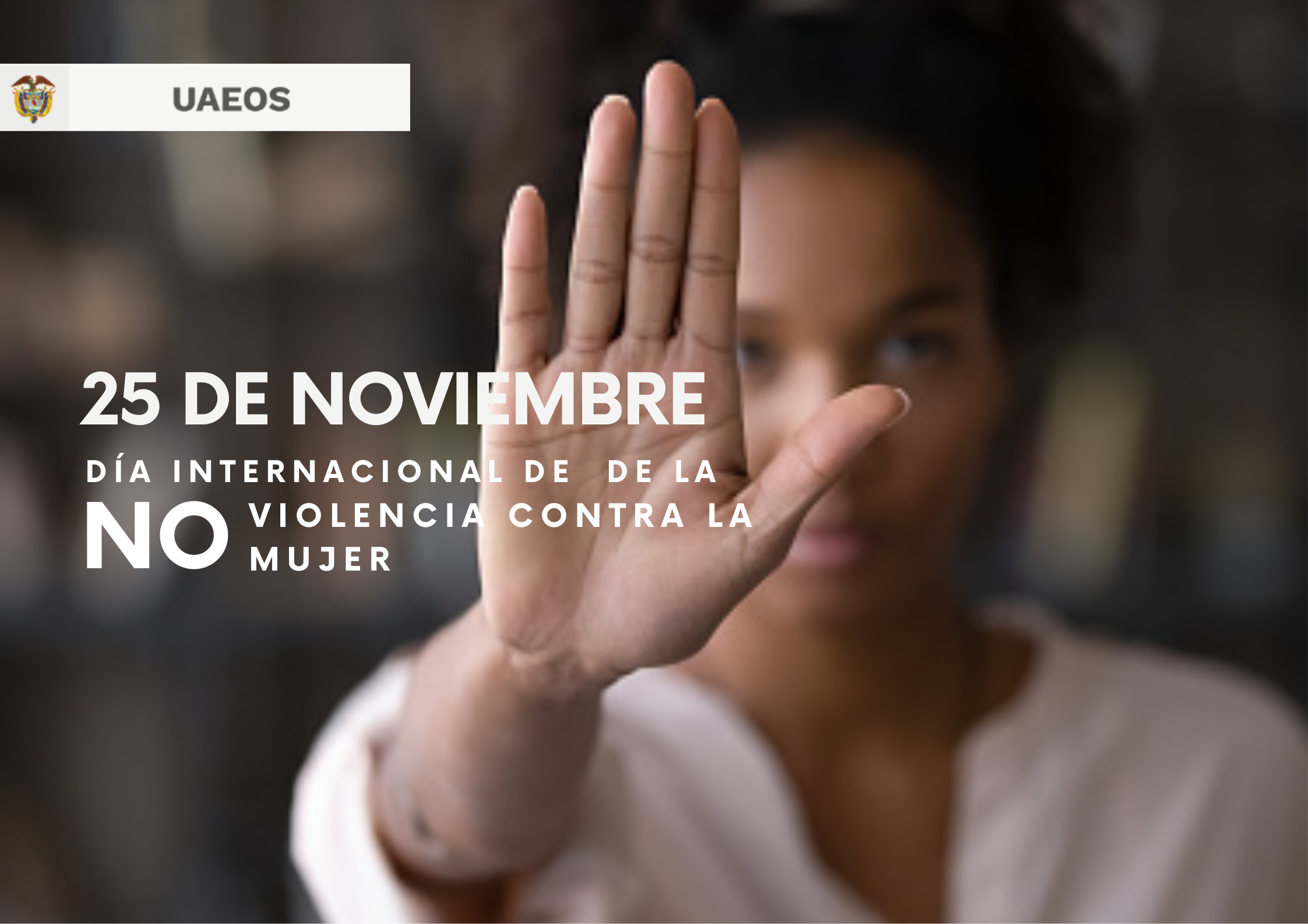 Día Internacional de la Eliminación de la Violencia contra la Mujer Día Internacional de la Eliminación de la Violencia contra la Mujer