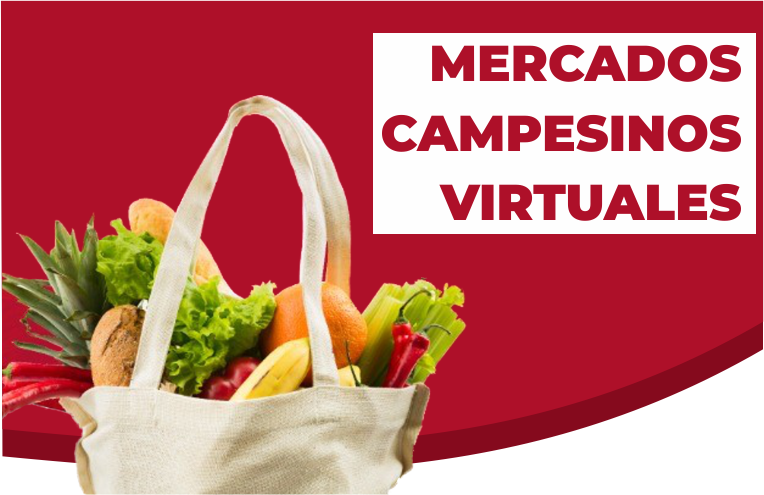Bajo Cauca MCV
