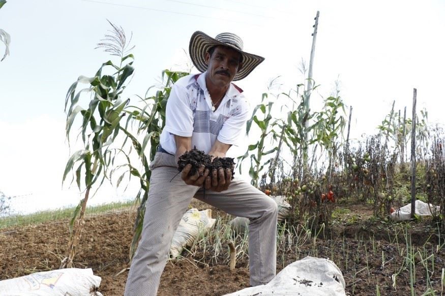 Mercados Campesinos Solidarios se toman el Cauca este fin de semana Mercados Campesinos Solidarios se toman el Cauca este fin de semana