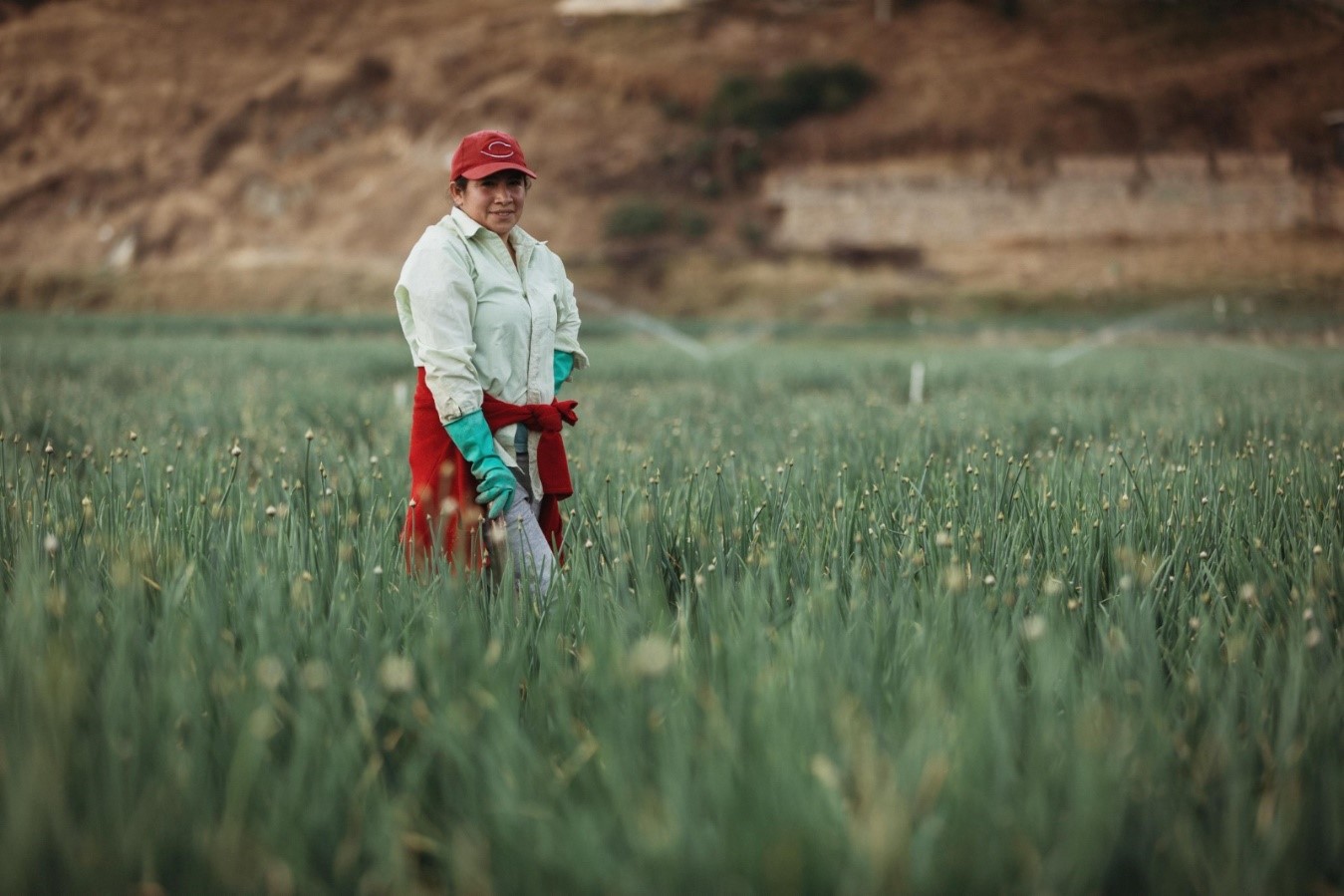 Gobierno lanza dos convocatorias para el fortalecimiento productivo Gobierno lanza dos convocatorias para el fortalecimiento productivo