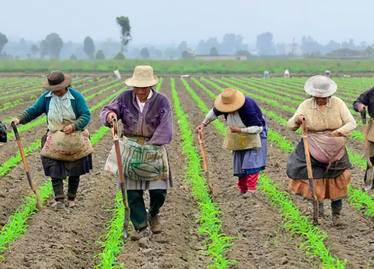 Desarrollo económico Mujeres