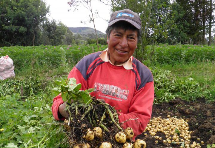 Nariño CPL