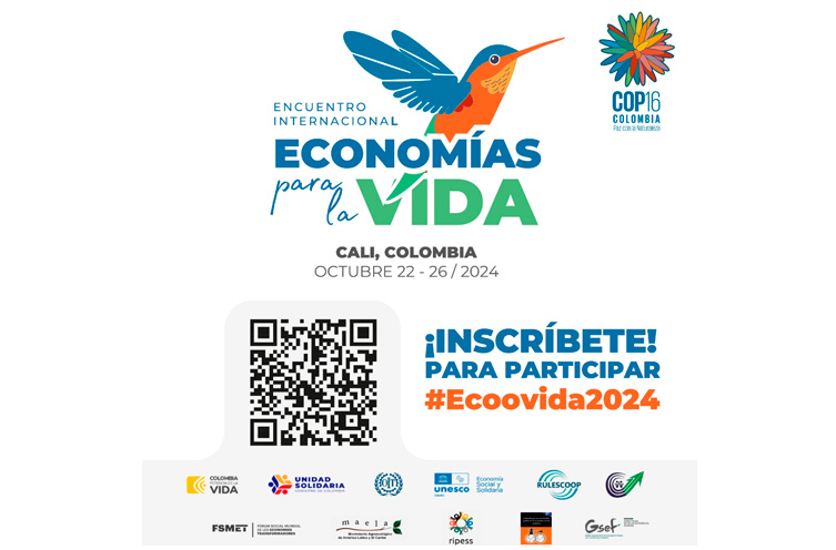 Cali se viste de solidaridad con Ecoovida2024 Cali se viste de solidaridad con Ecoovida2024