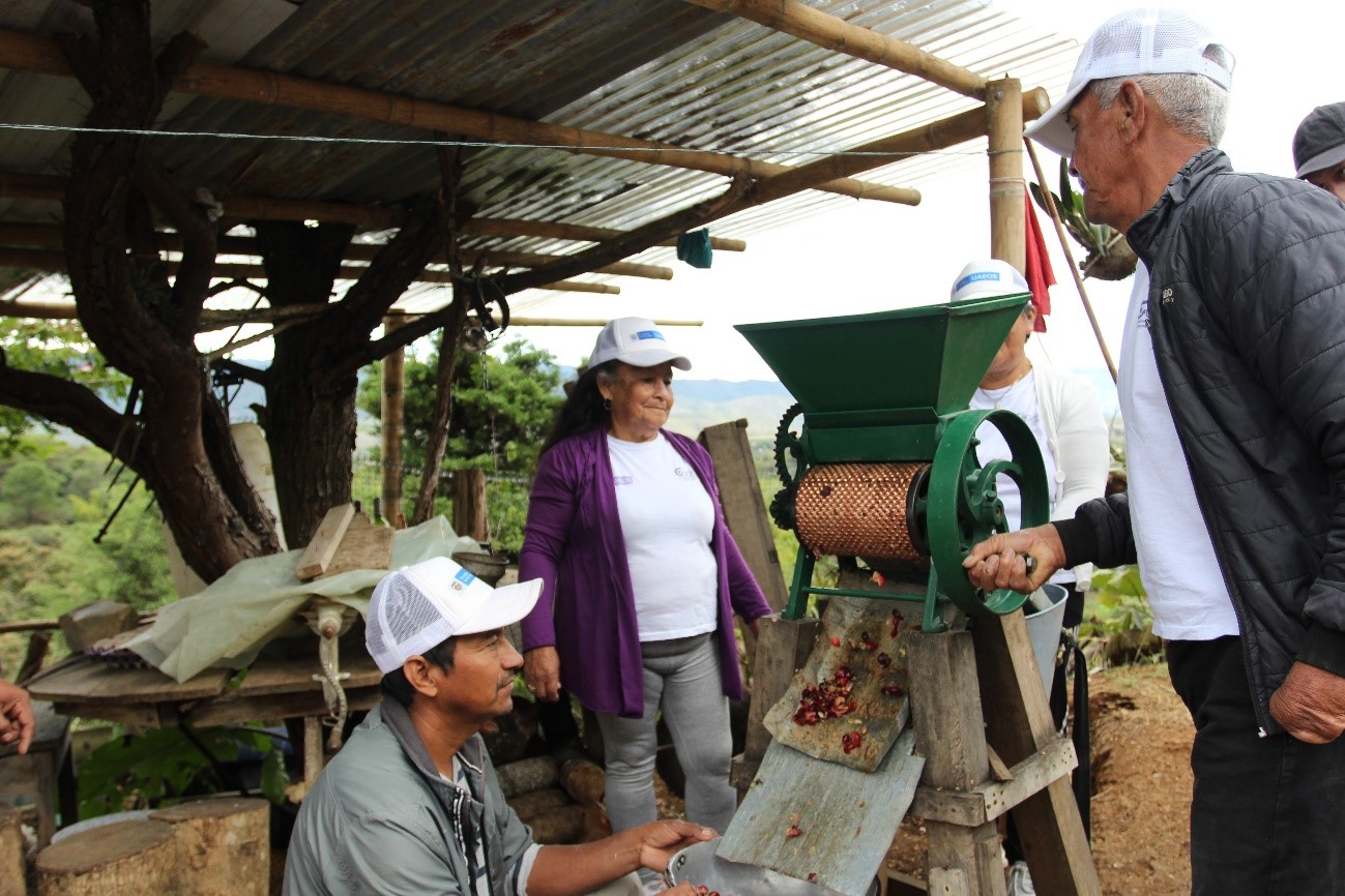 Los circuitos cortos de comercialización continúan impulsando la economía campesina en Colombia Los circuitos cortos de comercialización continúan impulsando la economía campesina en Colombia