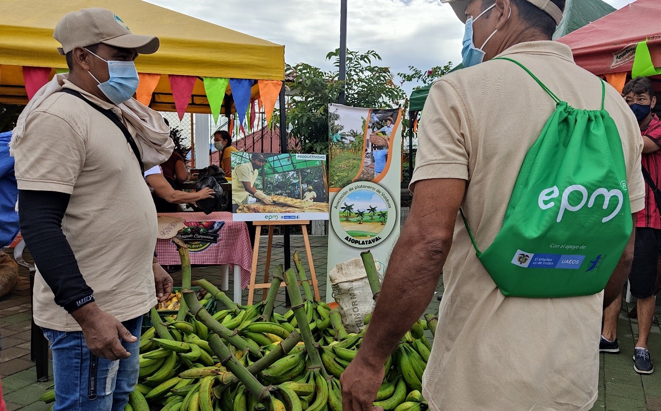 Circuitos cortos de comercialización en Antioquia benefician a pequeños productores Circuitos cortos de comercialización en Antioquia benefician a pequeños productores