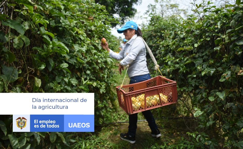 Día Internacional de la Agricultura Día Internacional de la Agricultura