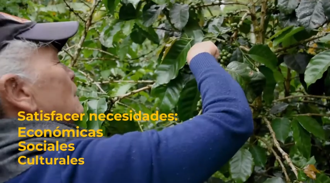 Cooperativas y su aporte al desarrollo económico y social