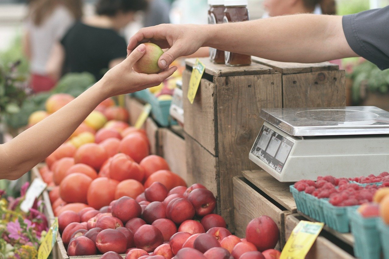 Locales Tolima Compras Públicas