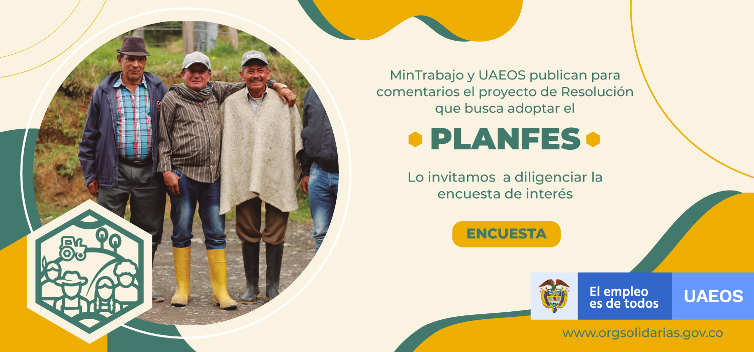 PLANFES ENCUESTA