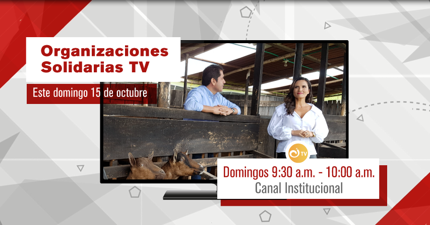 Este fin de semana en Organizaciones Solidarias TV Este fin de semana en Organizaciones Solidarias TV
